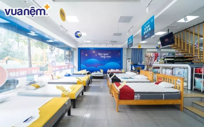 Nếu bạn chưa tìm được địa chỉ bán nệm chính hãng đáng tin cậy, hãy đến ngay với hệ thống Vua Nệm