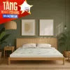 [Tặng bộ ga & 2 gối] Nệm cao su thiên nhiên Gummi Classic thế hệ mới dày 5/10/15cm