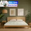 Nệm cao su thiên nhiên Gummi Classic thế hệ mới dày 5/10/15cm