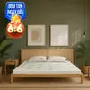 Nệm cao su thiên nhiên Gummi Classic thế hệ mới dày 5/10/15cm