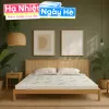 Nệm cao su thiên nhiên Gummi Classic thế hệ mới dày 5/10/15cm