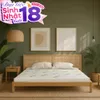 Nệm cao su thiên nhiên Gummi Classic thế hệ mới dày 5/10/15cm