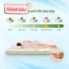 Nệm cao su thiên nhiên Gummi Classic thế hệ mới dày 5/10/15cm