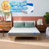 Nệm foam Goodnight Massage 2.0 (Hachi) giảm áp lực dày 15cm