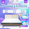 Nệm foam Goodnight Hachi giảm áp lực dày 15cm
