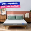 Nệm foam Goodnight Hachi giảm áp lực dày 15cm