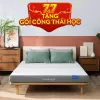 Nệm foam Goodnight Hachi giảm áp lực dày 15cm