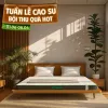 Nệm cao su thiên nhiên Gummi Premium detox giấc ngủ dày 10cm