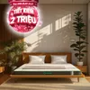 Nệm cao su thiên nhiên Gummi Premium detox giấc ngủ dày 10cm