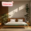 Nệm cao su thiên nhiên Gummi Premium detox giấc ngủ dày 10cm