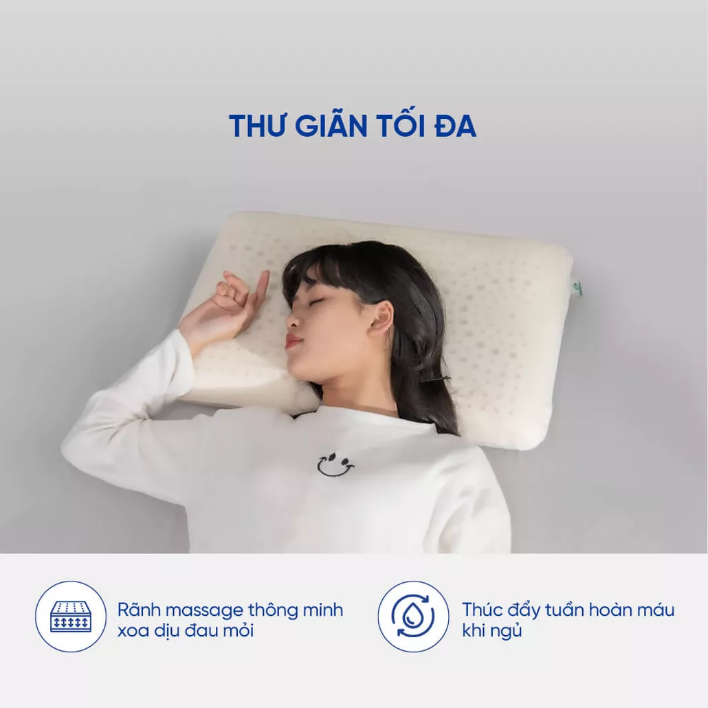 Gối cao su 100% thiên nhiên massage thoáng khí Gummi Evora