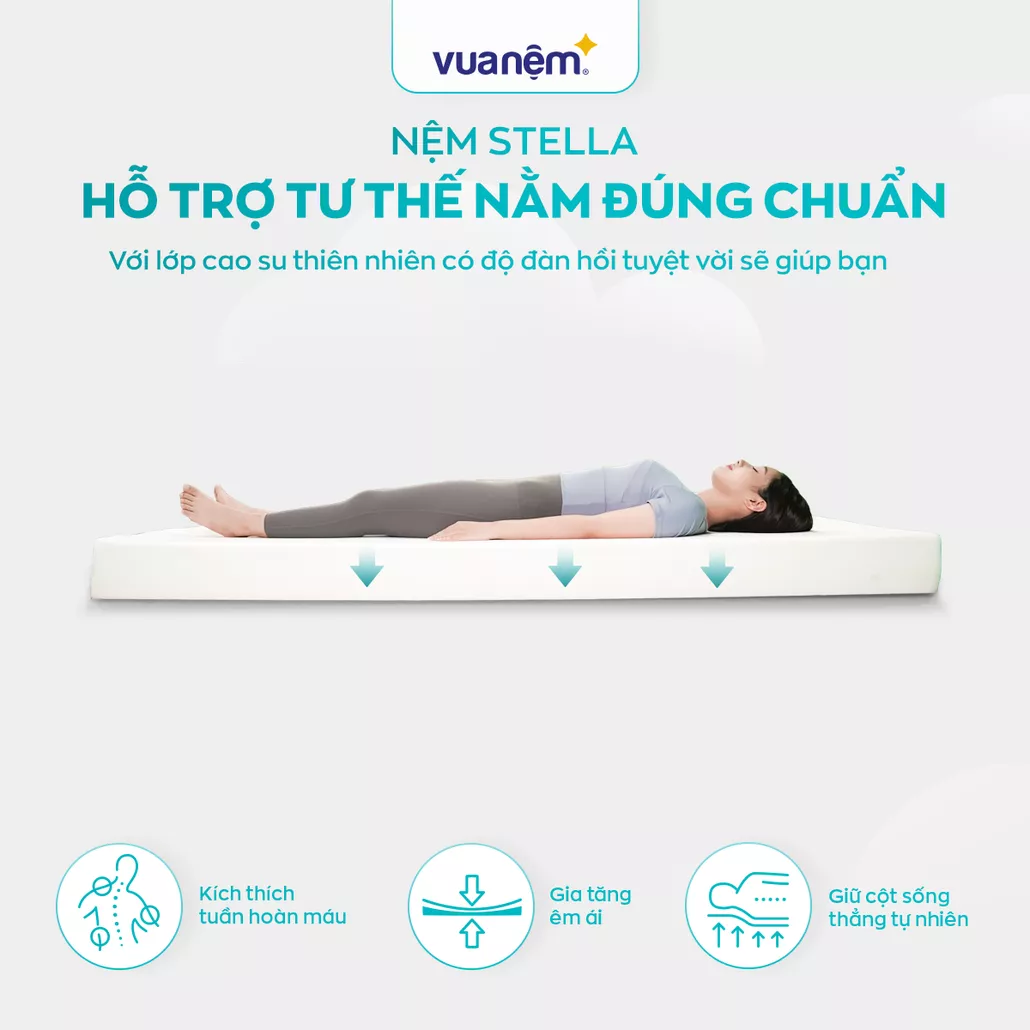 nệm cao su đa tầng kim cương stella đàn hồi cao, thoáng khí, bảo vệ cột sống