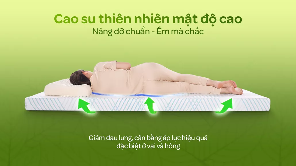 Nâng đỡ cơ thể chuẩn chỉnh – Êm mà vẫn chắc!