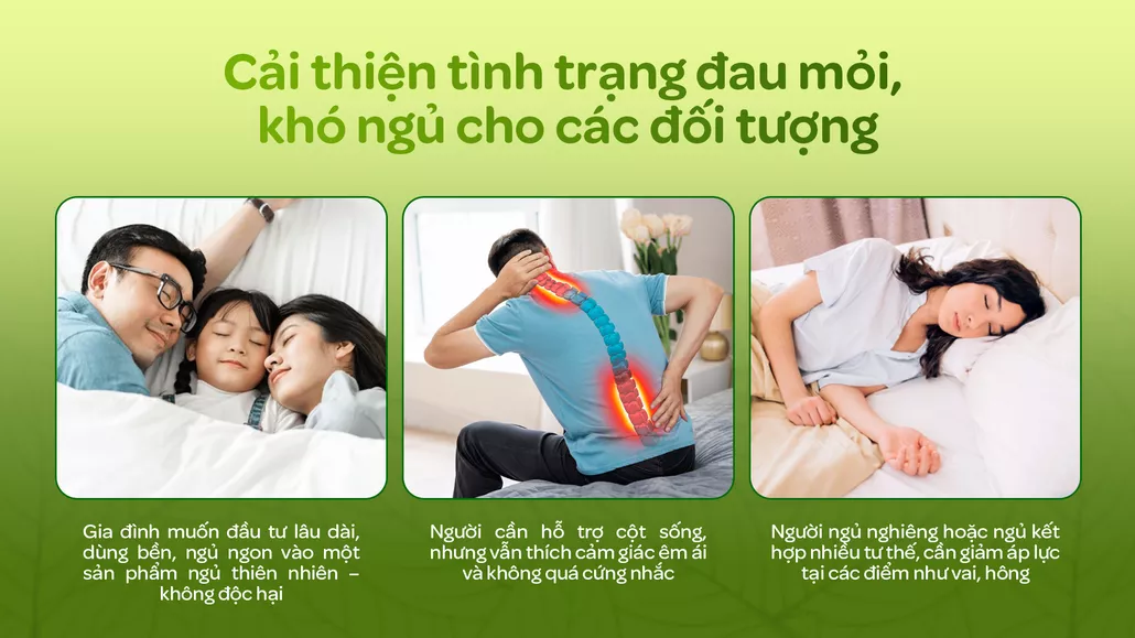 Ai nên chọn nệm Gummi Signature