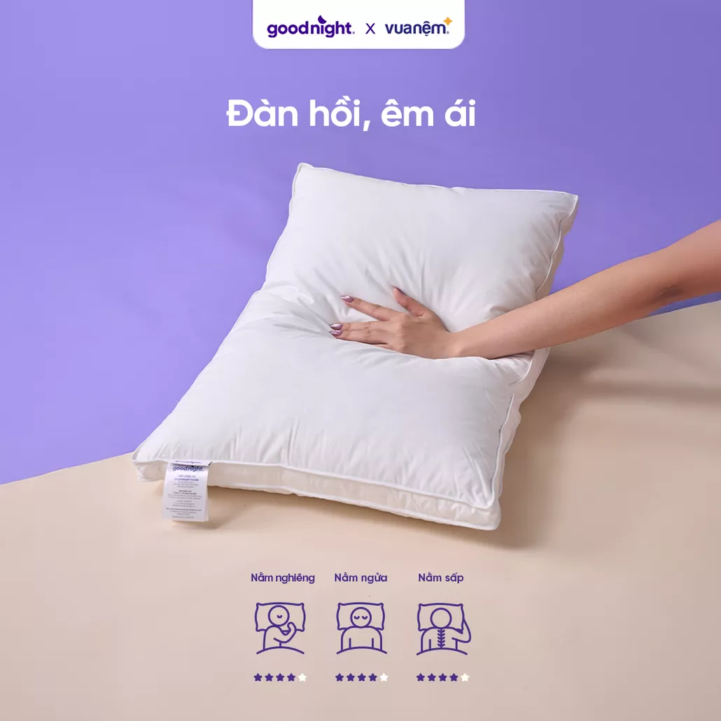 Đàn hồi êm ái – Kết cấu lý tưởng từ lông vũ