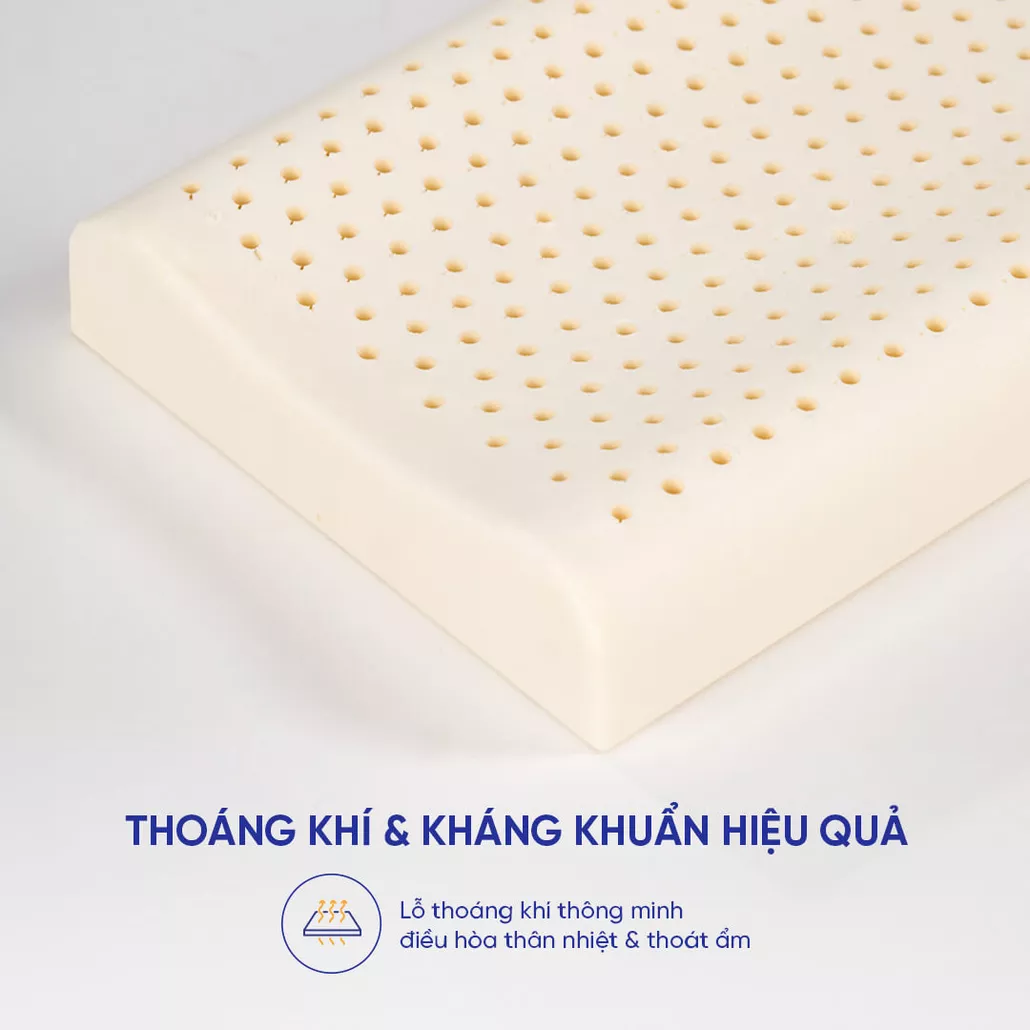 gối cao su 100% thiên nhiên trẻ em Gummi Pudding nâng đỡ cổ vai gáy, đàn hồi vượt trội