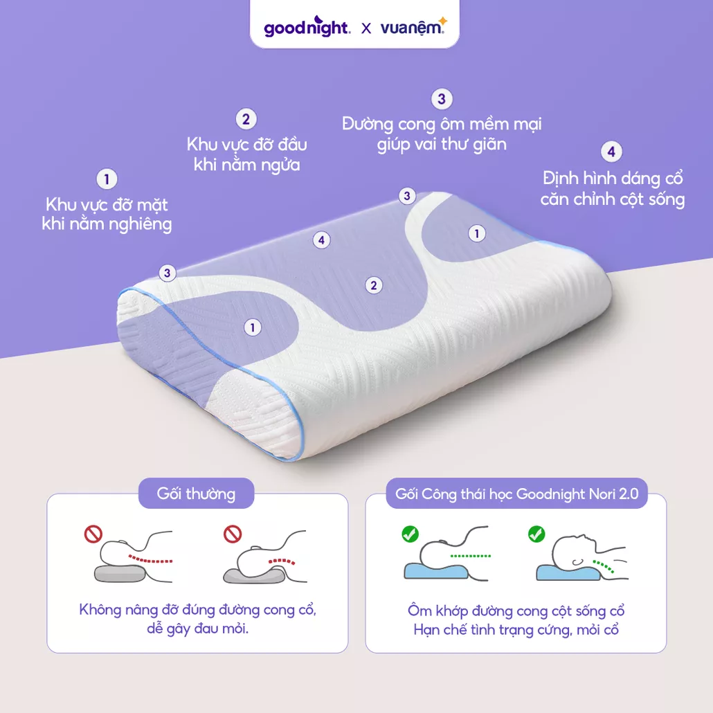 Cấu trúc Foam hiện đại – Chuẩn nâng đỡ công thái học