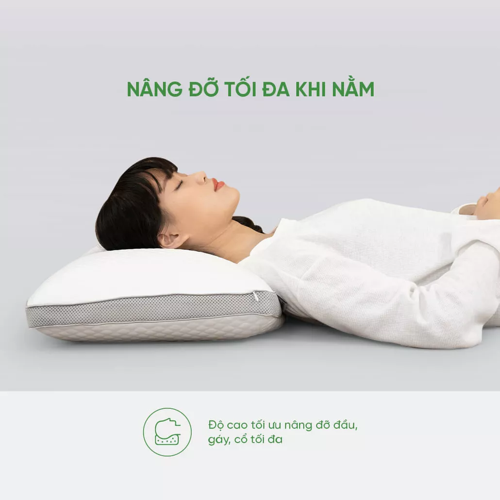 Gối cao su 100% thiên nhiên thoáng khí Gummi Standard