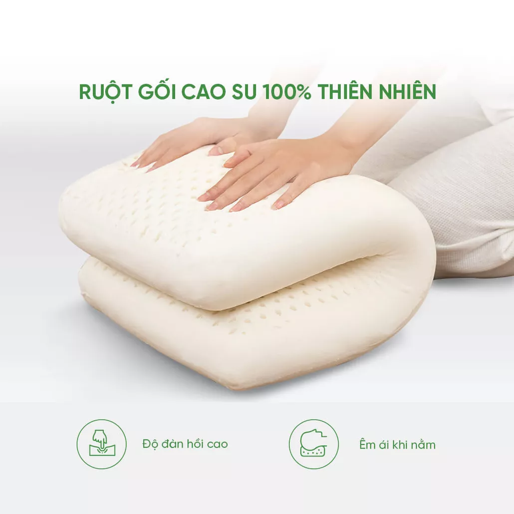 Gối cao su 100% thiên nhiên thoáng khí Gummi Standard