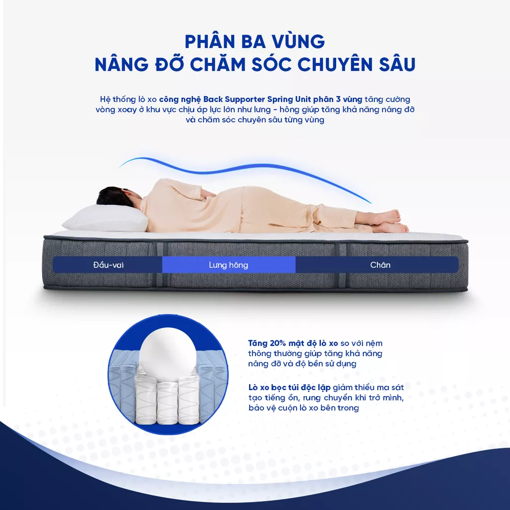 Hệ thống lò xo túi độc lập 3 phân vùng hỗ trợ nâng đỡ chuyên sâu