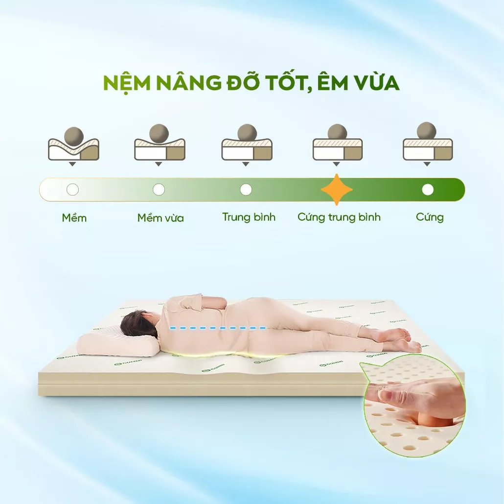Độ cứng vừa