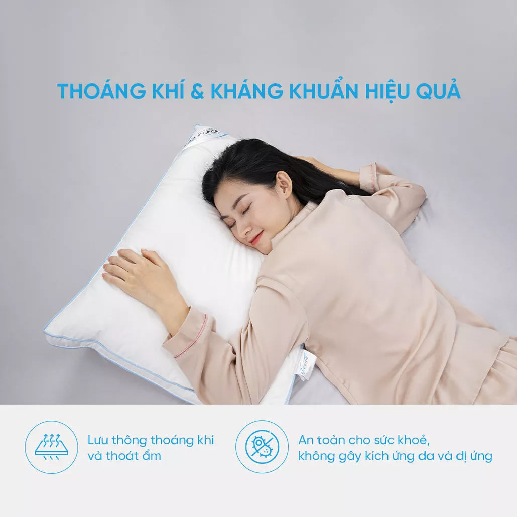 Gối lông vũ cao cấp Doona Sandwich êm ái, thoáng khí, kháng khuẩn cao