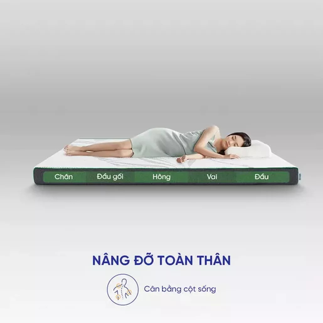 Nệm cao su than tre Gummi Premium kháng khuẩn, thoáng khí