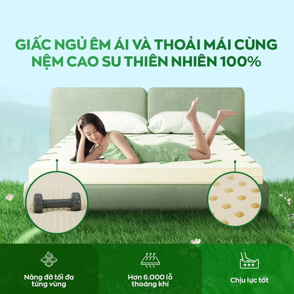 Nệm cao su thiên nhiên 100% gummi classic bền bỉ