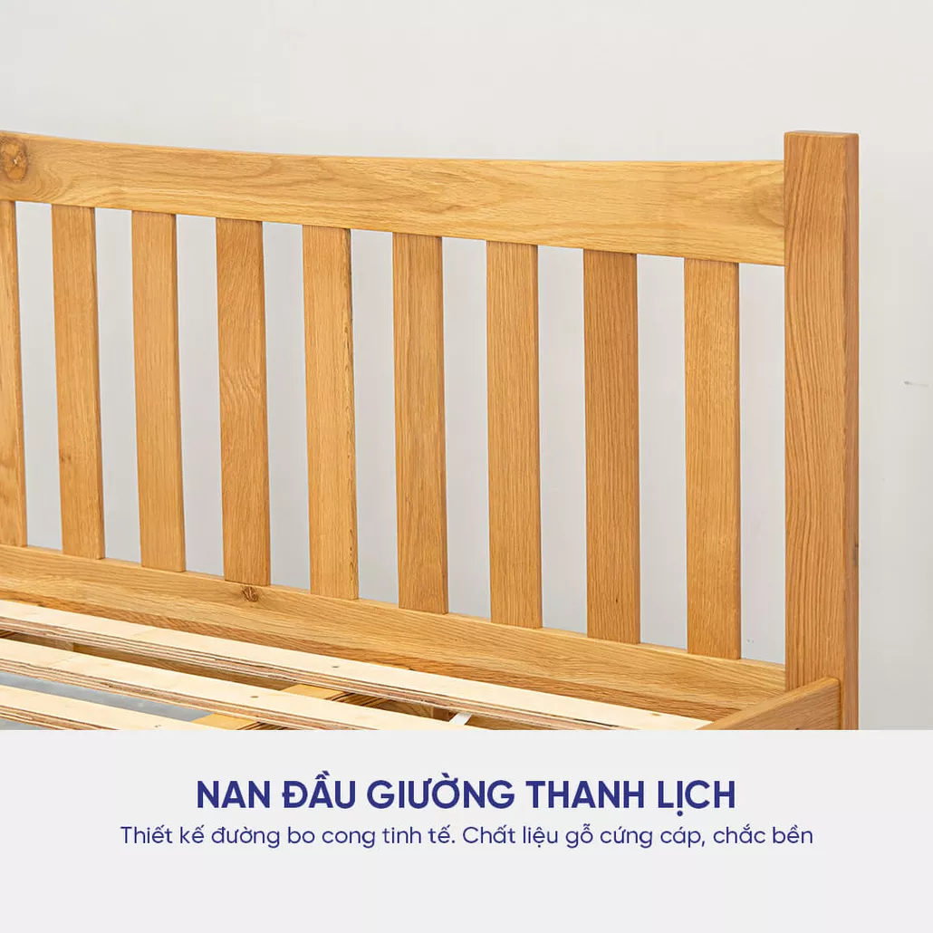 Giường gỗ sồi Amando Apollo bền đẹp, chống cong vênh, chất lượng cao