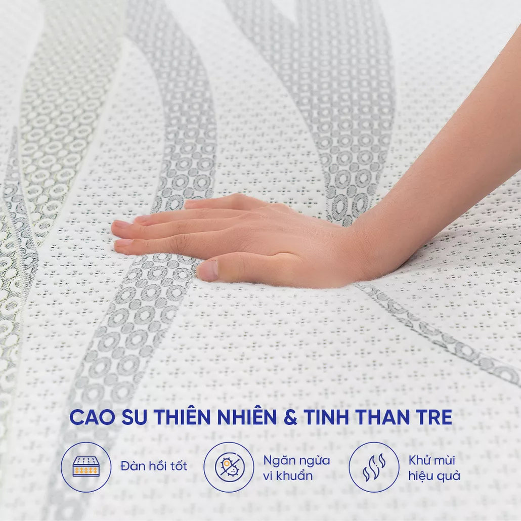 Nệm cao su than tre Gummi Premium kháng khuẩn, thoáng khí