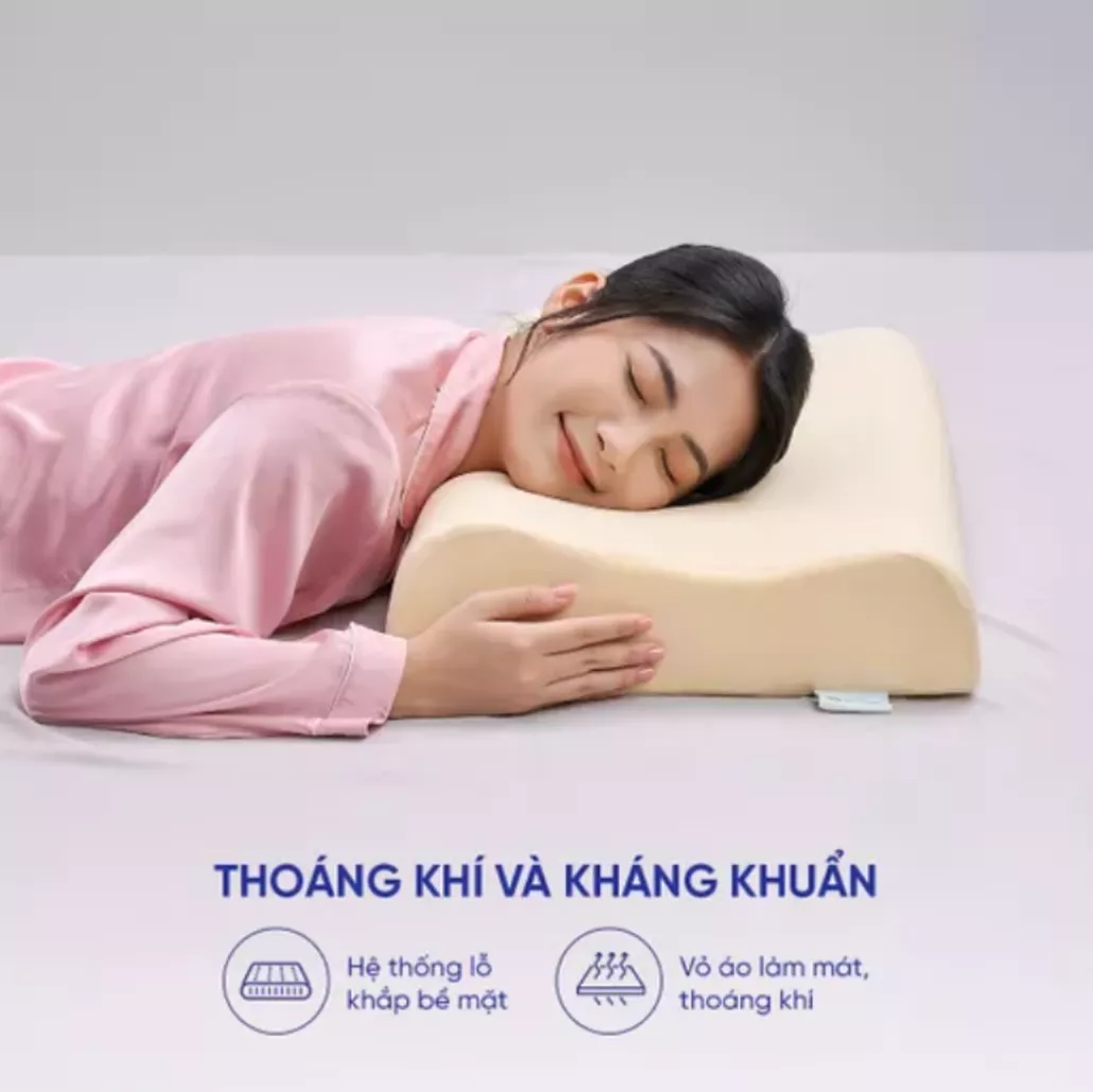 Gối cao su 100% thiên nhiên công thái học Gummi Purin