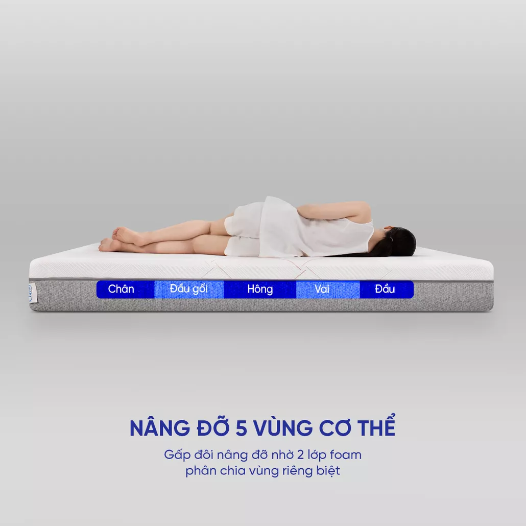 nệm foam cao cấp kháng virus comfy lux 2.0 nâng đỡ 5 vùng, làm mát