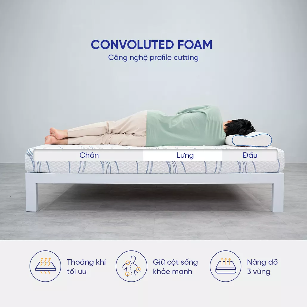 nệm foam 3 vùng massage kháng khuẩn goodnight luna