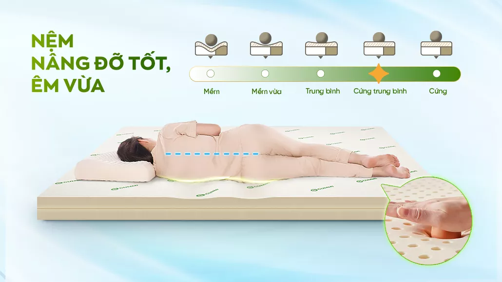 Độ cứng vừa