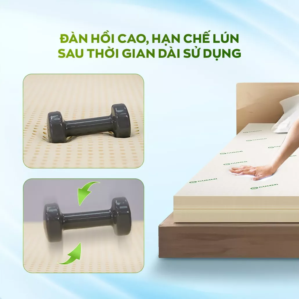 Cao su thiên nhiên đàn hồi cao