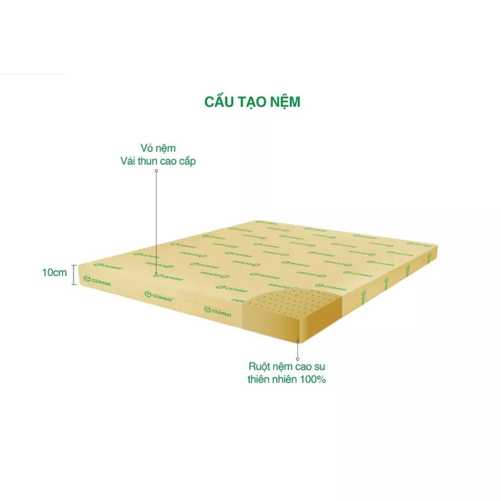 Nệm cao su Gummi Standard 2.0 nâng đỡ vững chắc, 100% cao su thiên nhiên