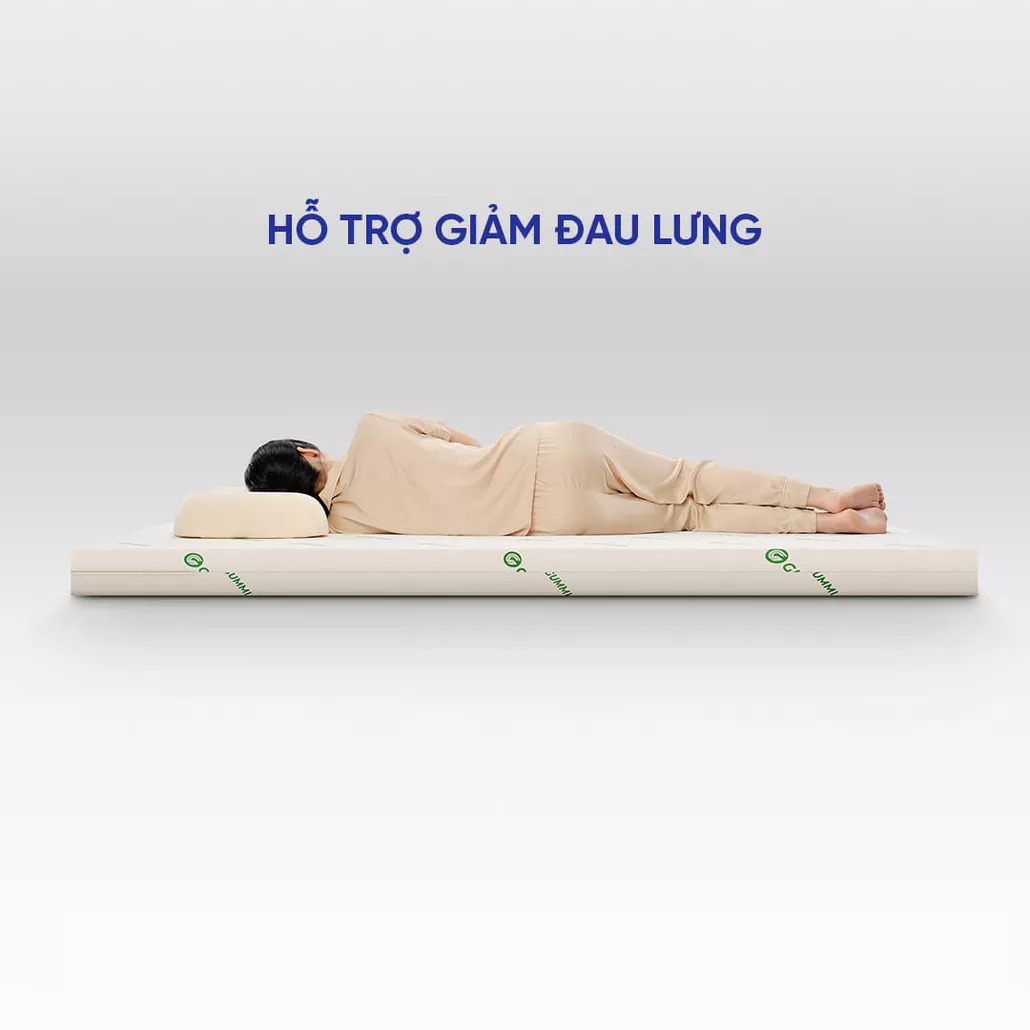 nệm cao su foam giảm đau lưng gummi lite