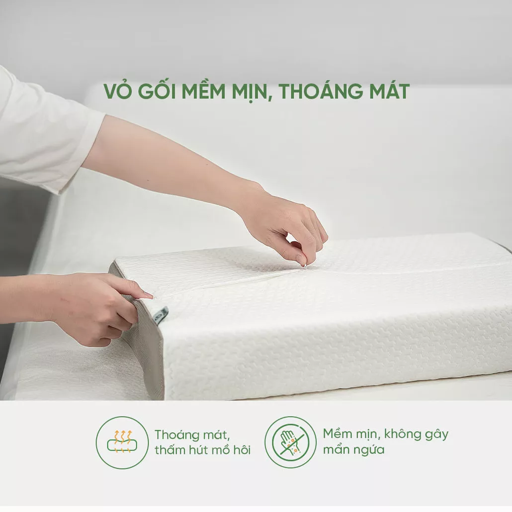 Gối cao su 100% thiên nhiên công thái học Gummi Contour Massage