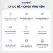 Nệm lò xo Amando Faro 5 vùng giảm đau lưng - Ảnh thumb 7