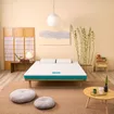 Nệm Nhật Bản Aeroflow Standard nâng đỡ cơ thể dày 12cm - Ảnh thumb 1
