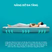 Nệm foam Nhật Bản Aeroflow Fit Plus kháng khuẩn dày 20cm - Ảnh thumb 3