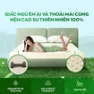 Nệm cao su thiên nhiên Gummi Classic thế hệ mới dày 5/10/15cm - Ảnh thumb 5