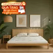 Nệm cao su thiên nhiên Gummi Classic thế hệ mới dày 5/10/15cm - Ảnh thumb 1