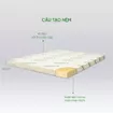 Nệm cao su thiên nhiên Gummi Classic thế hệ mới dày 5/10/15cm - Ảnh thumb 2