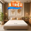 Nệm cao su Gummi 7zones nhập khẩu dày 12cm - Ảnh thumb 1