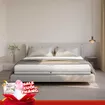 (Tặng máy lọc không khí) Nệm cao su cao cấp Gummi Legend nhập khẩu dày 20cm - Ảnh thumb 1