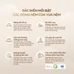 Nệm Kim Cương Erica Smart Tech công nghệ fushion, thành phần foam và cao su tổng hợp - dày 15cm - Ảnh thumb 11