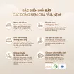 Nệm Kim Cương Erica Smart Tech công nghệ fushion, thành phần foam và cao su tổng hợp - dày 15cm - Ảnh thumb 10