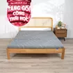 Nệm foam Goodnight Core (Akita) gấp 3 dày 8cm - Ảnh thumb 2