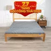 Nệm foam Goodnight Akita gấp 3 dày 8cm - Ảnh thumb 1